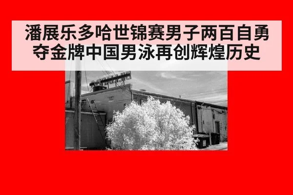 潘展乐多哈世锦赛男子两百自勇夺金牌中国男泳再创辉煌历史